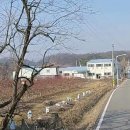 안성114공인중개사사무소 이미지