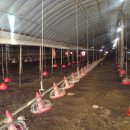 팔구농산 이미지