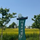 고창농장 | [국내]2026년 전북 고창 청보리밭 축제 후기