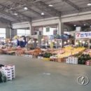 목포원예 농업협동조합 이미지