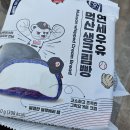 종로-신영-종로-영-210 | [2025 3월호] 봄은 오는가