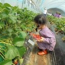 임영택농장 이미지