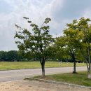 빛드림 태양광발전소 이미지