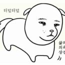 아이처럼 동물병원 이미지
