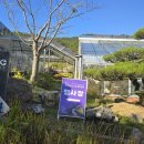 신안1004주유소