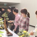 마산합포구청 이미지