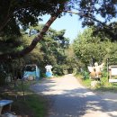 산들래 야영장 이미지