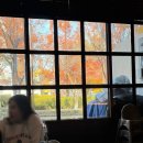 모드니프라자 | 일산 1등맛집 또간집맛집 포폴로 피자 웨이팅꿀팁 및 후기, 크리스마스 카페 프랭크커핀바 내돈내산 후기