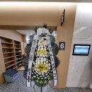 수정로171번길 이미지