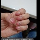 넬그리나 이미지