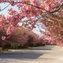 누구나 할 수 있는 일상 영어 회화 이미지