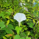 삼태경로당 이미지