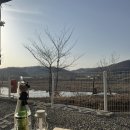 강나루캠핑야영장 이미지