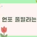 남해 언포 이미지