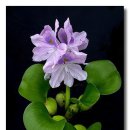 좋은 날들 이미지