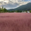 덕동 마을회관 이미지