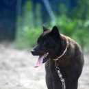 사기막 농장 이미지