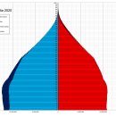 부동산경공매(토) 이미지