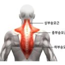 노바짐(NOVA GYM) 이미지