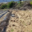 농업회사 토지인 이미지