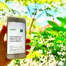 선정 | 네이버 여행 인플루언서 2025년 6월 탈락 재도전 선정 후기