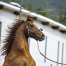 장수목장 이미지