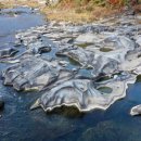 무릉도원면-39 이미지