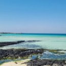 김녕환승정류장 이미지