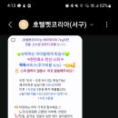 호텔펫코리아 이미지