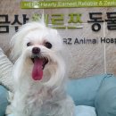 친친 동물병원 이미지