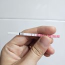 역전자동차병원 | 임신 초기(~12주 차) _ 산부인과 피검사와 초음파 검사, 임신 초기해야 할 것 / 주수별 증상, 체중 증가...