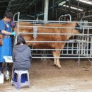 밀양축산업협동조합 이미지