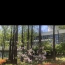 (주)코람데오 이미지