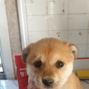 오금3리 이미지