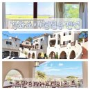 다옴 애견동반 펜션 | 강화애견전용펜션 &#39; 로만티카애견리조트&#39; 강화도애견동반펜션 후기 힐링했어요!