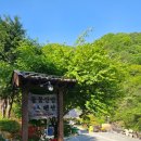 들꽃산방한옥계곡펜션