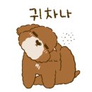 검정고시(중등) 이미지