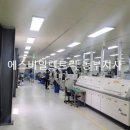 벨리 태양광발전소 이미지