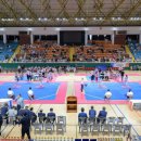 보성태권도 이미지