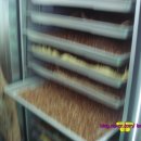 부안사슴농장 이미지