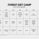 다이어트캠프 이미지