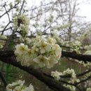 희구농장 이미지