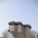 이천시 인공암벽등반장 이미지