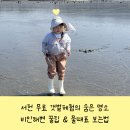 서천 바닷가 갯벌 | 서천 무료 갯벌체험장 비인해변 물때표 보는법과 준비물 꿀팁 대방출