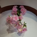 세종오즈 이미지