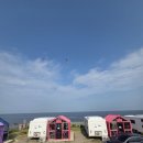 구룡포 유니의 바다 | [포항] 오션뷰 카라반 숙소, 유니의 바다 카라반 구룡포 후기, 바베큐장 편의시설 정리