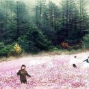 건축사사무소 태성 이미지