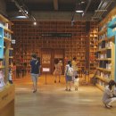 지혜의 숲 이미지