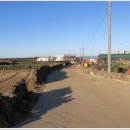 무릉외갓집 이미지