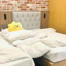 슈바이처도르프 이미지